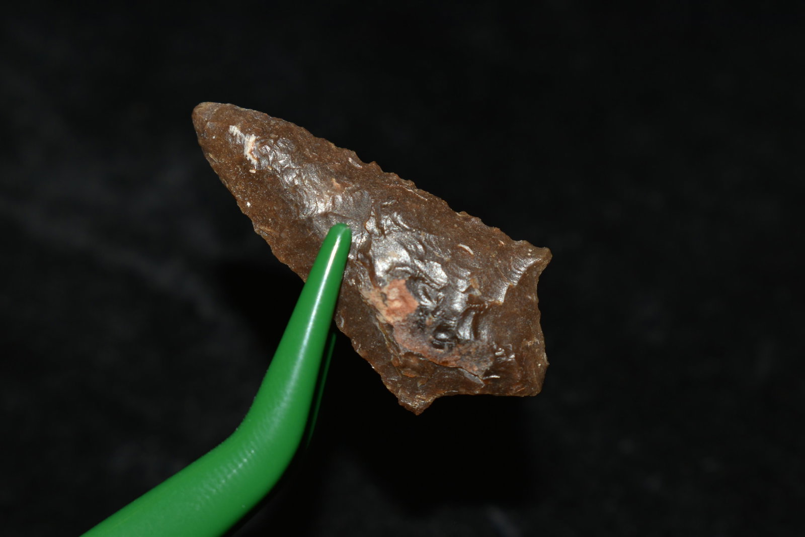 1 1/4" Rabbit Island Point This collection contains: 1 1/4" Rabbit Island Point This collection contains Wonderful examples of Columbia River Valley Arrowheads and Darts from the Fred Van Ronk Collection. The location of these artifacts range from the a