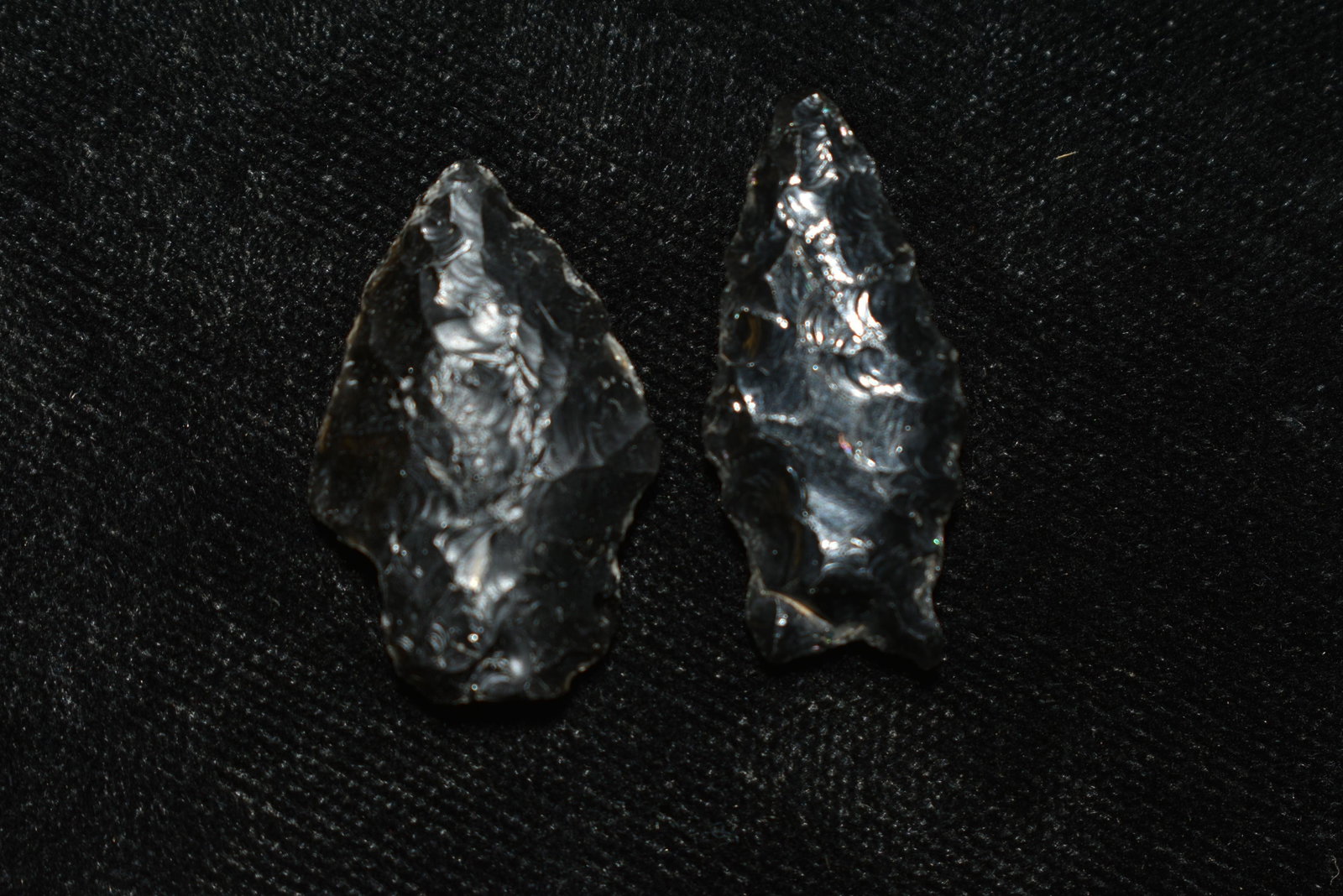 Lot of 2 Columbia River Gem Points, Largest measures 1: Lot of 2 Columbia River Gem Points, Largest measures 1 1/8" This collection contains Wonderful examples of Columbia River Valley Arrowheads and Darts from the Fred Van Ronk Collection. The location of