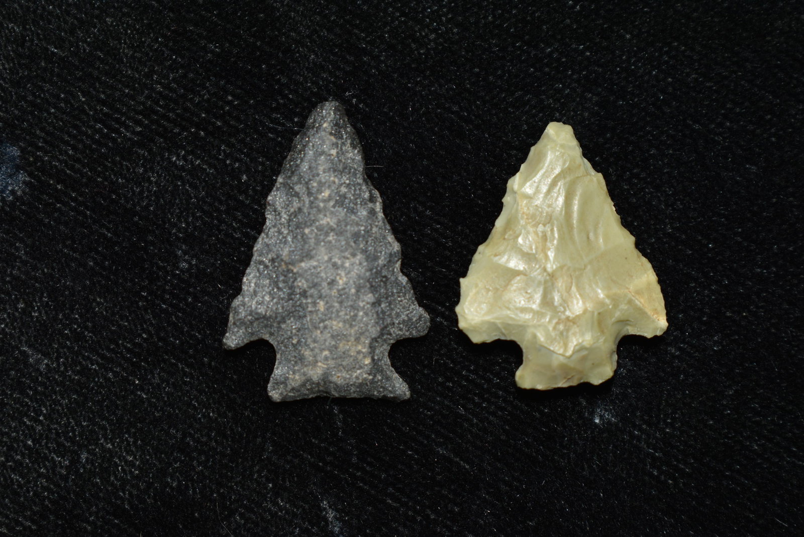 Lot of 2 Columbia River Gem Points, Largest measures 1": Lot of 2 Columbia River Gem Points, Largest measures 1" This collection contains Wonderful examples of Columbia River Valley Arrowheads and Darts from the Fred Van Ronk Collection. The location of the