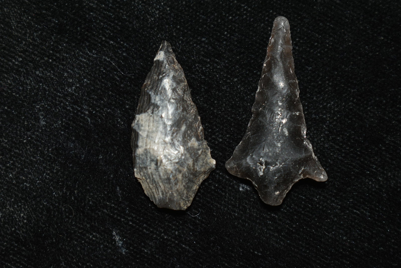Lot of 2 Columbia River Gem Points, Largest measures 1": Lot of 2 Columbia River Gem Points, Largest measures 1" This collection contains Wonderful examples of Columbia River Valley Arrowheads and Darts from the Fred Van Ronk Collection. The location of the