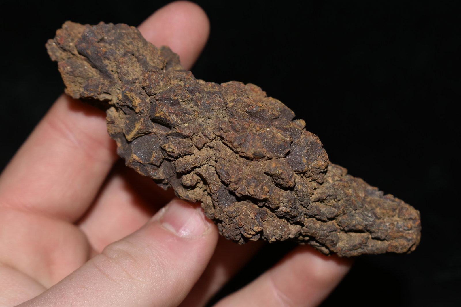 3 7/8" Fossilized Dinosaur Dung: 3 7/8" Fossilized Dinosaur Dung