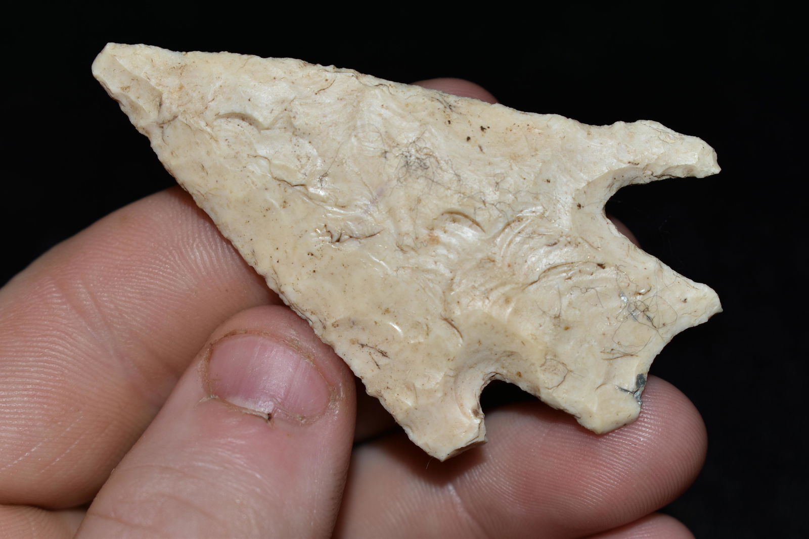 2 9/16" LONG APPLE CREEK FOUND IN LINCOLN COUNTY (1 of 4)