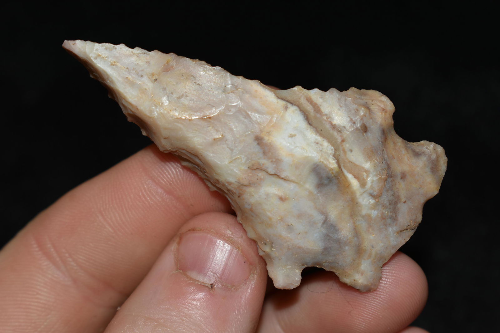 2 1/2" STEEPLY BEVELED ARCHIAC CORNERNOTCH FOUND IN (1 of 4)