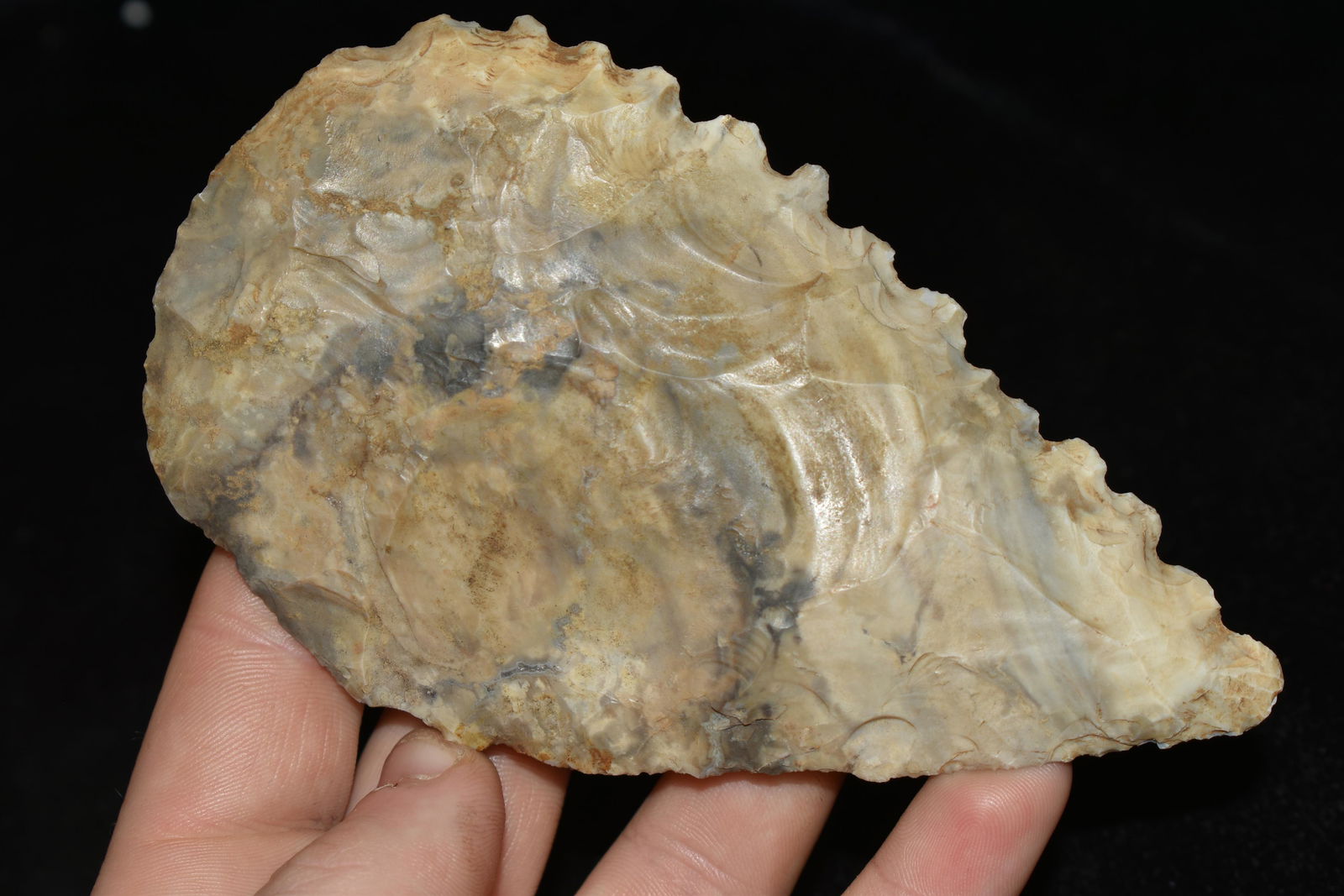 5" LONG ETLEY KNIFE / SAW FOUND IN COLE COUNTY (1 of 4)