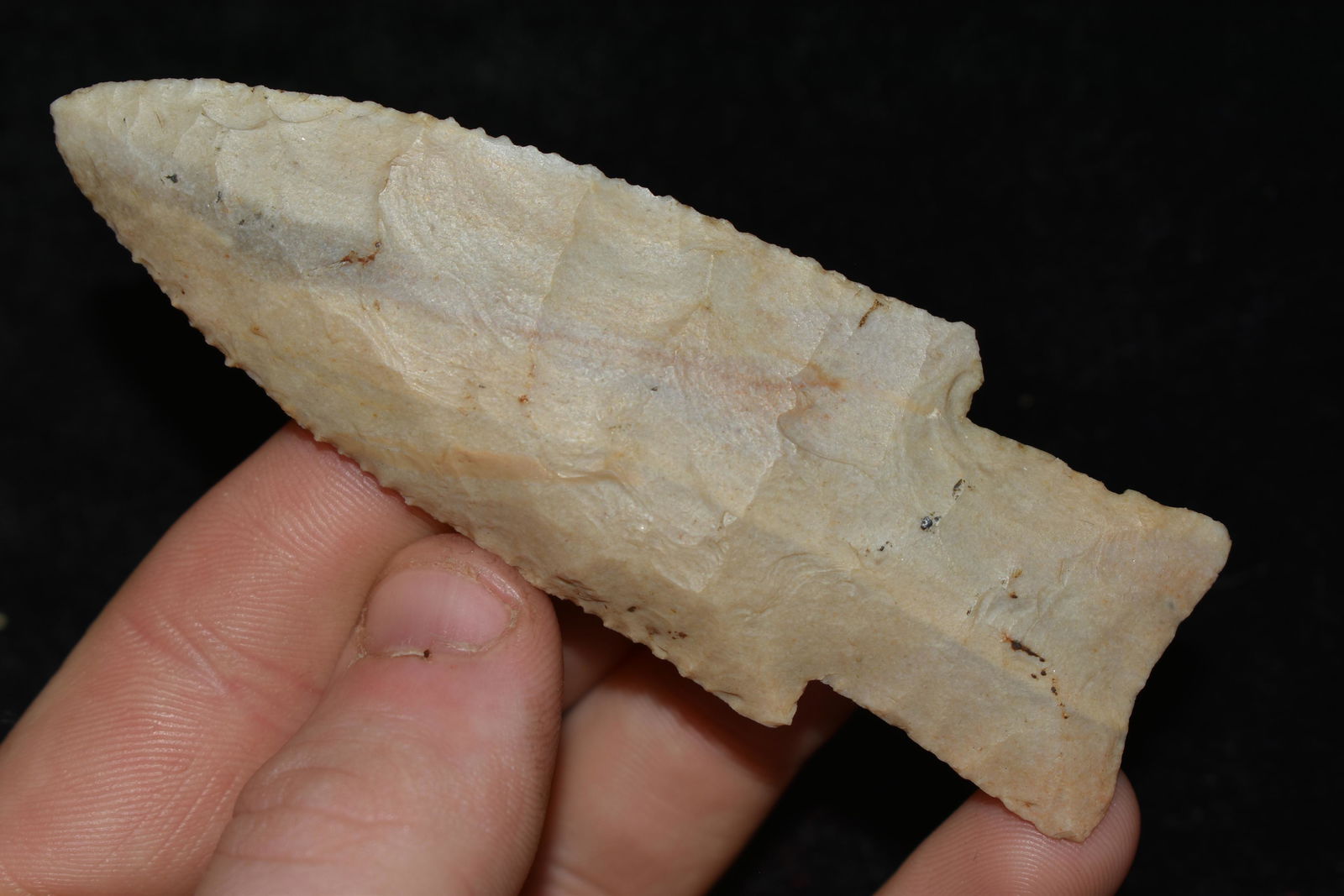 2 5/8" LONG PAYSON HARDIN FOUND IN MADISON COUNTY (1 of 7)