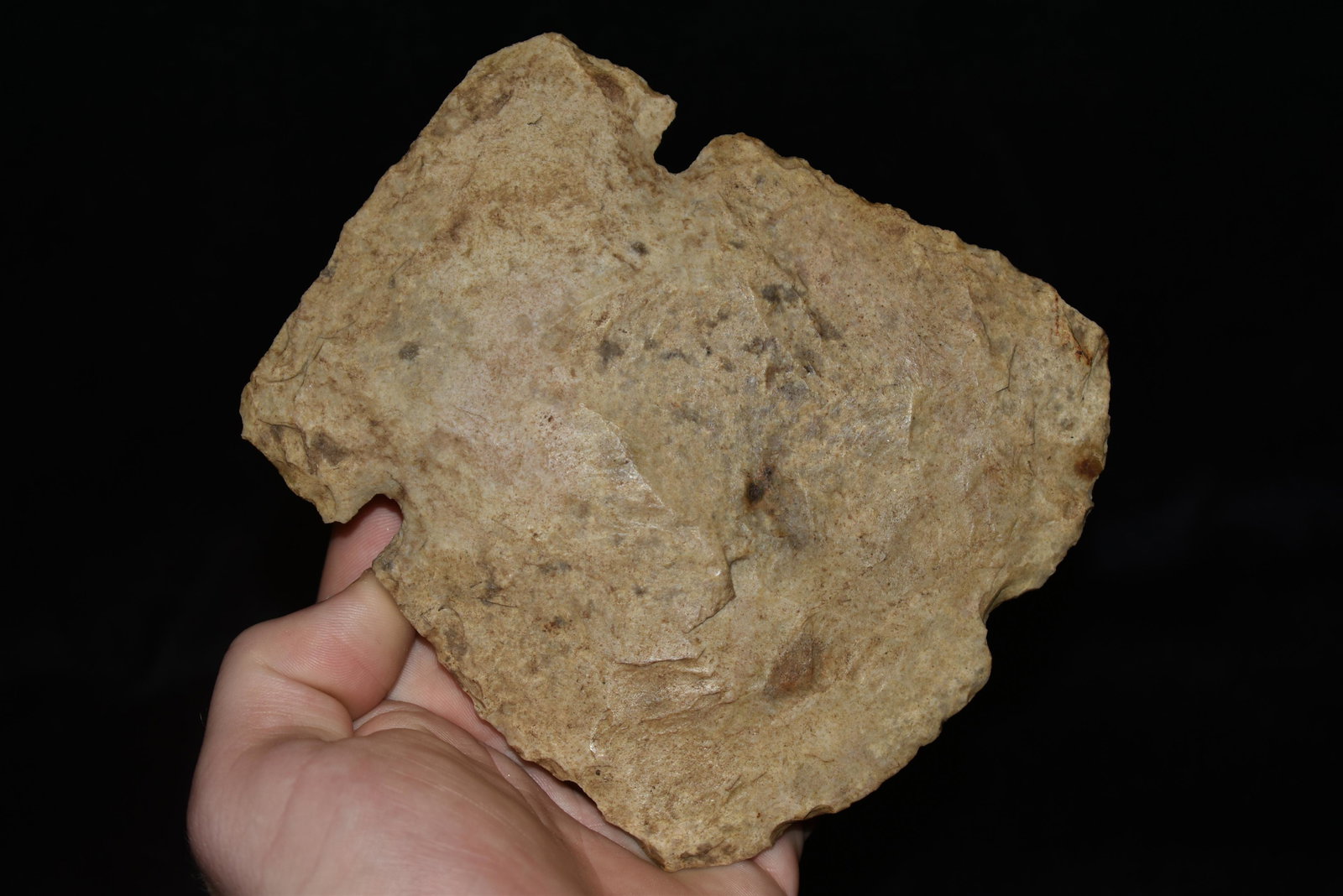 5 1/8" LONG NOTCHED HOE FOUND IN MADISON COUNTY, (1 of 7)