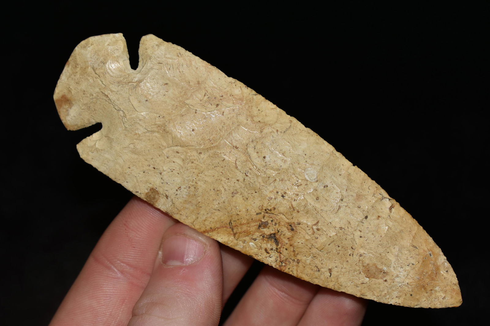 4 9/16" INCREDIBLE DOVETAIL FOUND IN ST LOUIS COUNTY (1 of 11)