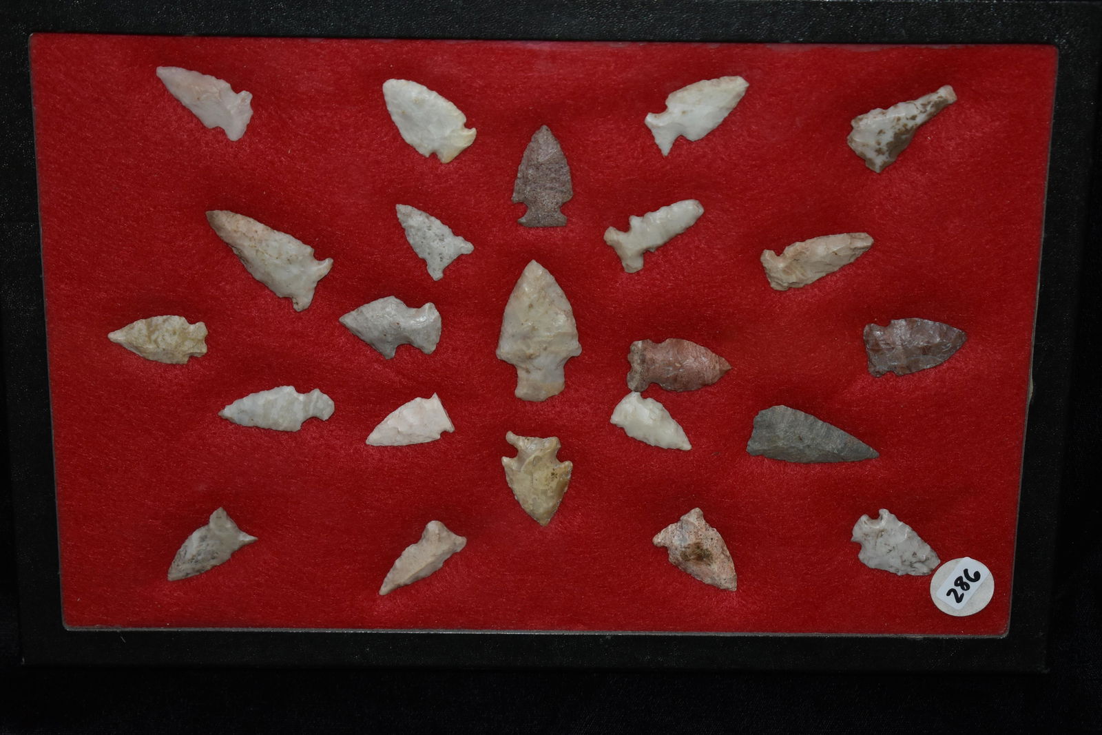 8" X 12" RIKER FRAME WITH 23 BIRD POINTS AND 2 SHELL (1 of 6)