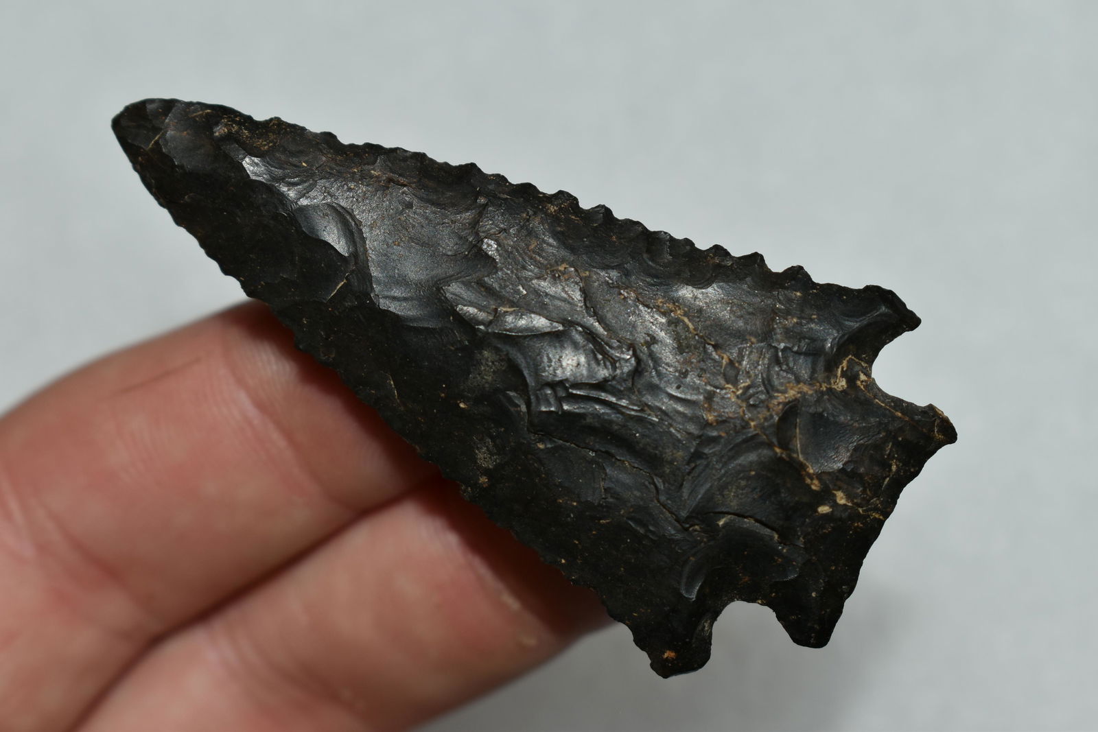 2 3/8" COSHOCTAN PINETREE FOUND IN DARKE COUNTY OHIO, (1 of 4)