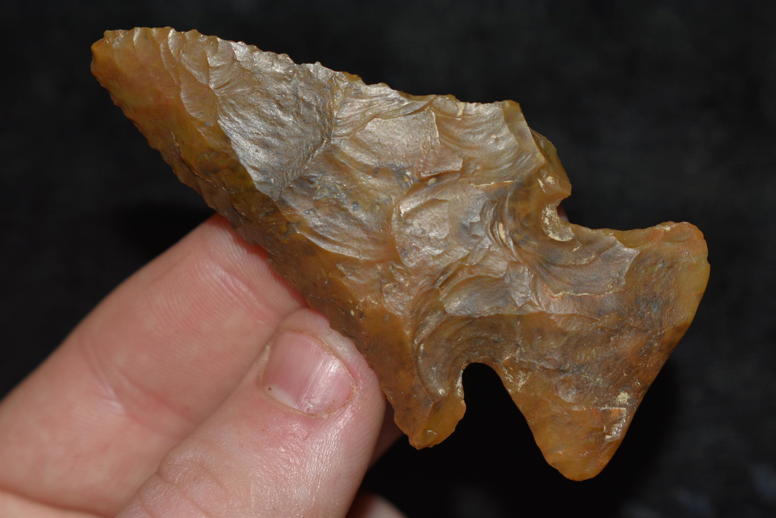 2 7/8" FLINT RIDGE THEBES ARCHAIC BEVEL FOUND IN (1 of 4)