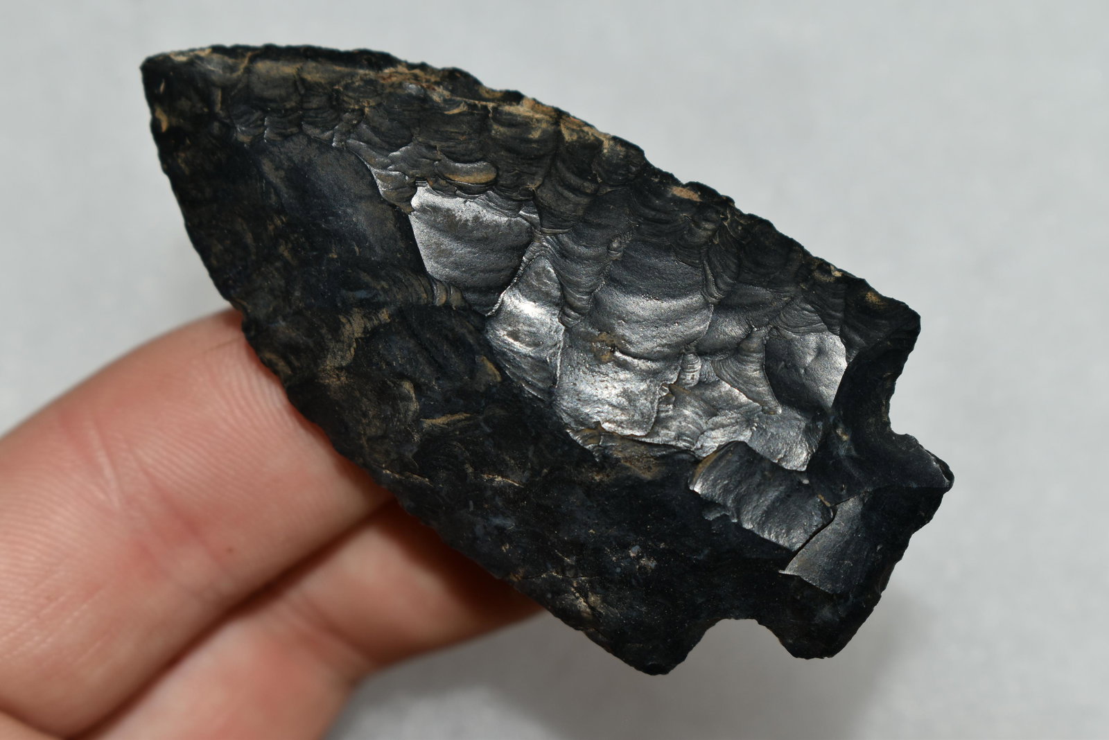 2 5/8" LONG HEAVY DUTY FOUND IN PICKAWAY COUNTY OHIO, (1 of 4)