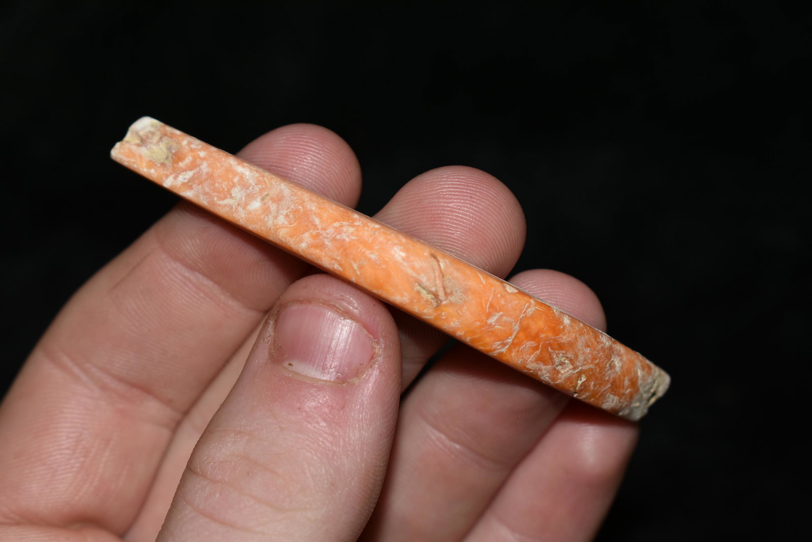 2 7/8" LONG PRE COLUMBIAN DRILLED SHELL PENDANT / (1 of 4)