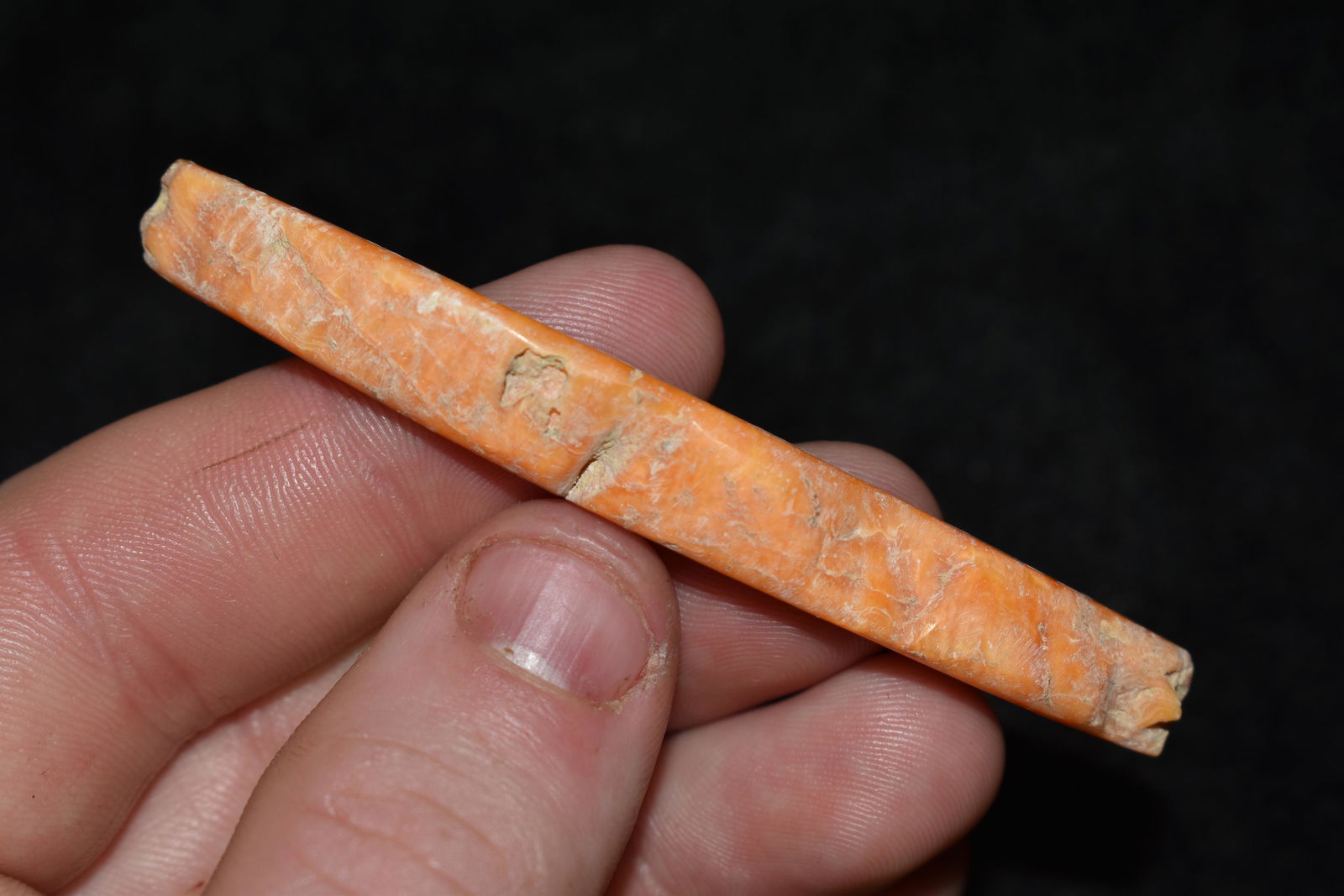 3" LONG PRE COLUMBIAN DRILLED SHELL PENDANT / GORGET, (1 of 5)