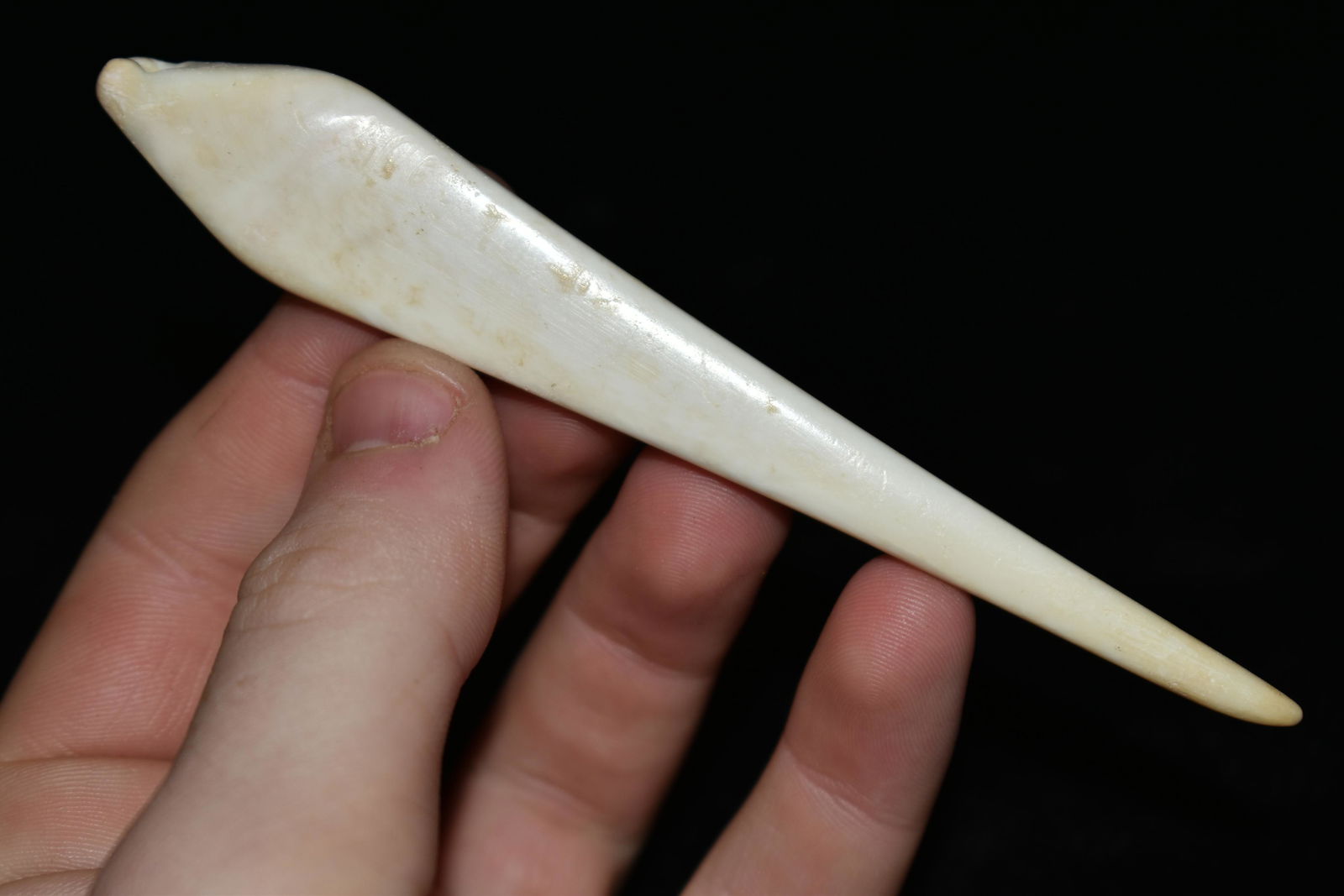 4 1/2" LONG PRE COLUMBIAN SHELL PENDANT FROM MEXICO (1 of 6)