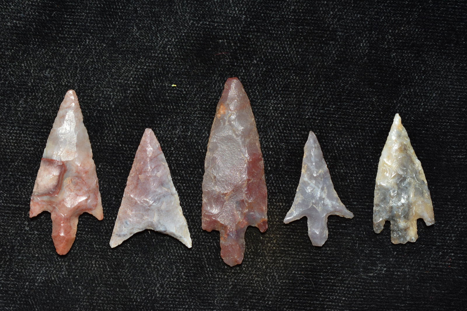 LOT OF 5 NEOLITHIC ARROWHEADS FROM THE SAHARA DESERT, (1 of 2)
