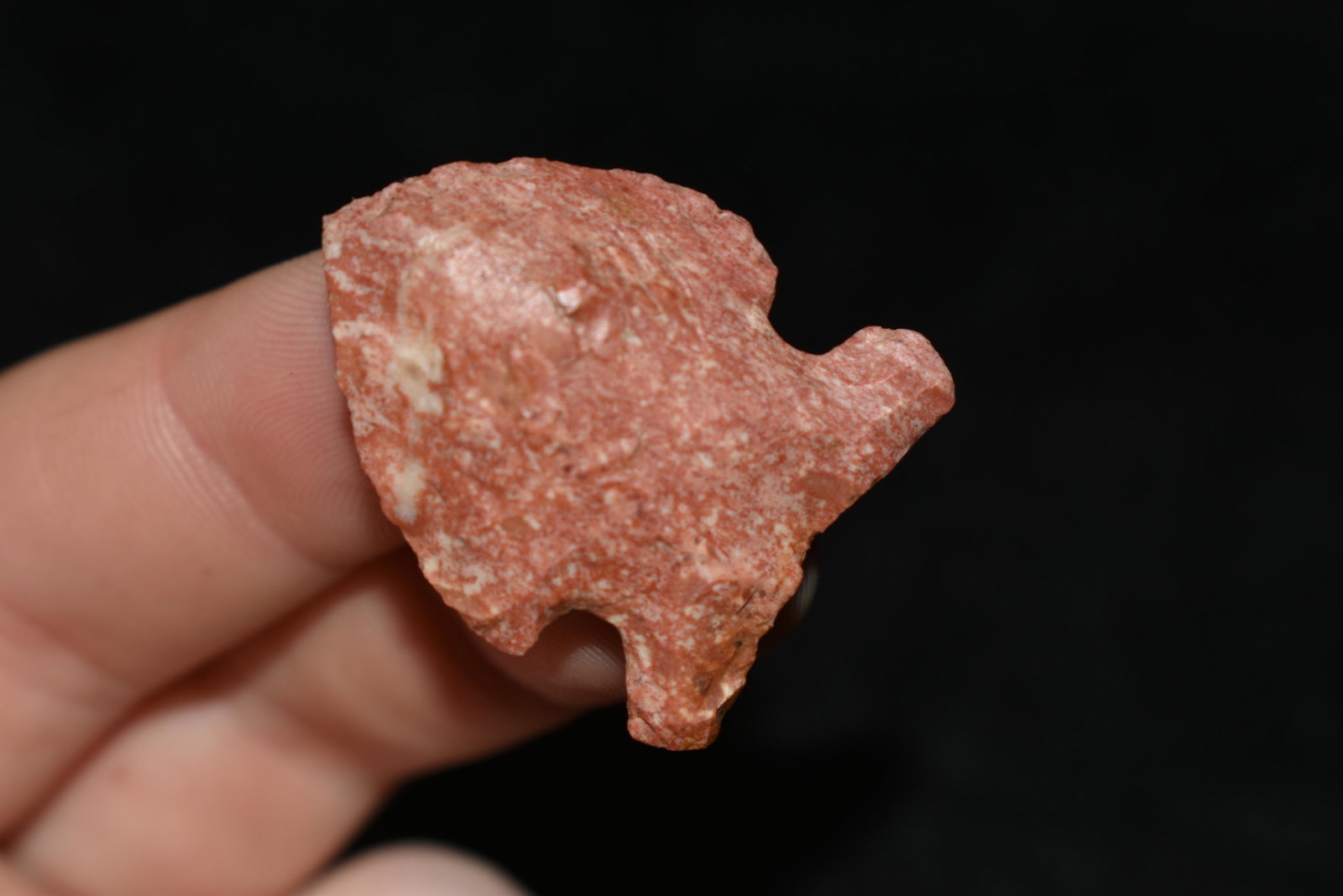 1 1/4" Colorful Woodland Arrowhead, ex Sam Webster: 1 1/4" Colorful Woodland Arrowhead, ex Sam Webster Collection, Pettis Co., Mo