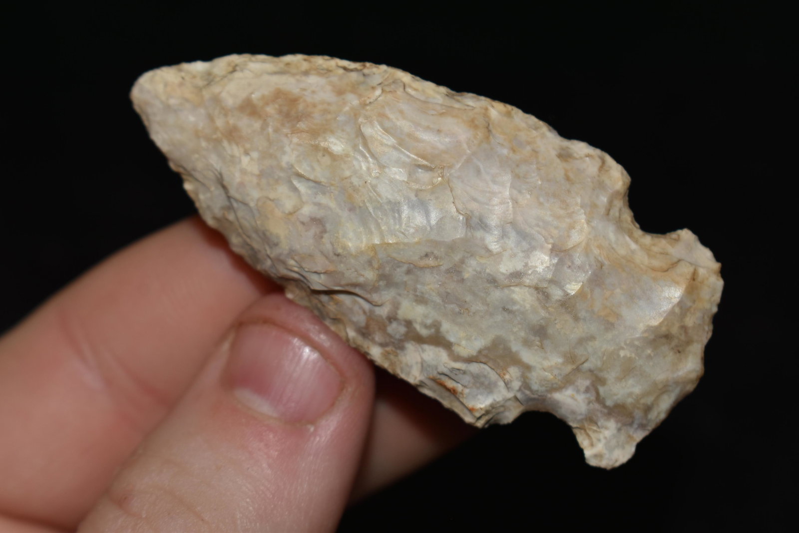 2 1/2" Motanzas Arrowhead, ex Sam Webster Collection,: 2 1/2" Motanzas Arrowhead, ex Sam Webster Collection, Pettis Co., Mo