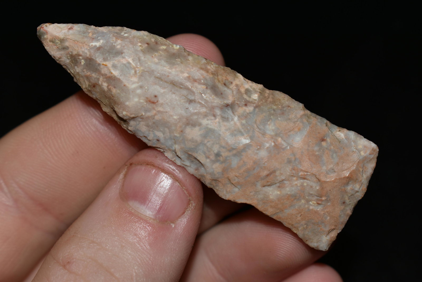 2 1/2" Sreuben Arrowhead, ex Sam Webster Collection,: 2 1/2" Sreuben Arrowhead, ex Sam Webster Collection, Pettis Co., Mo