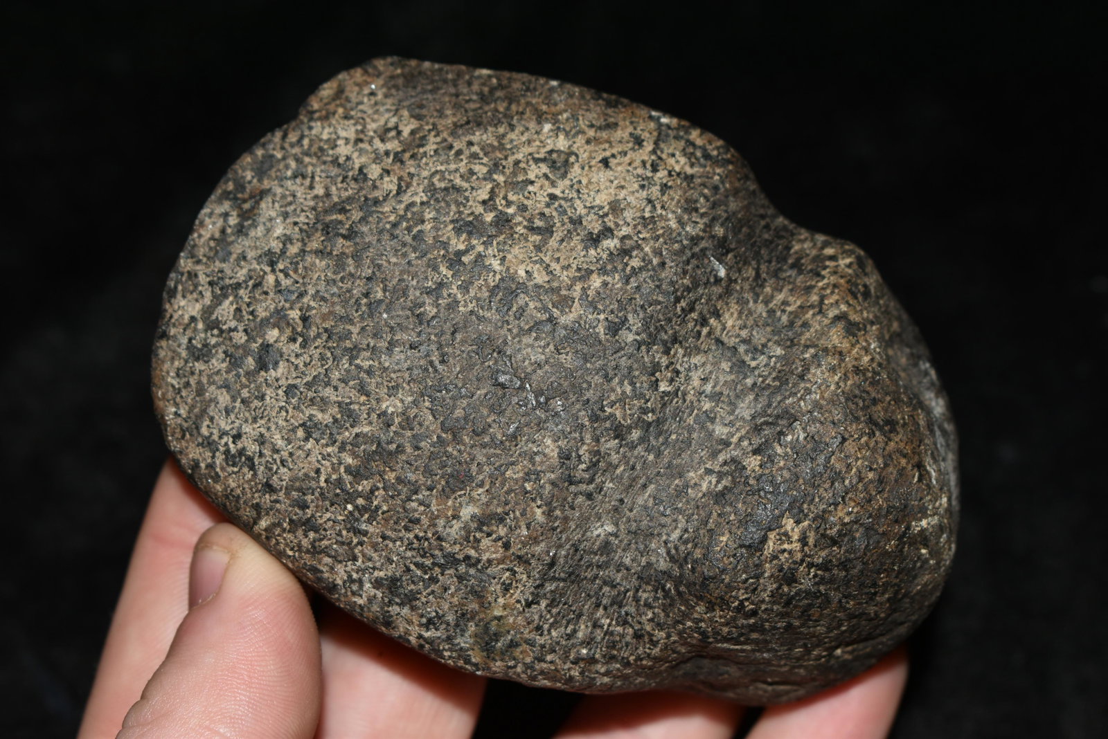 4" 3/4 Groove Axe, ex Sam Webster Collection, Pettis: 4" 3/4 Groove Axe, ex Sam Webster Collection, Pettis Co., Mo