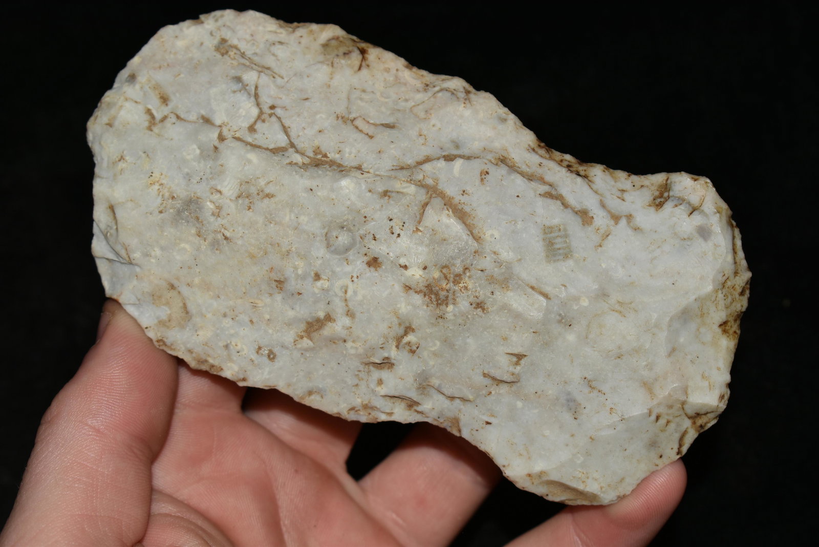 5" Flint Axe, ex Sam Webster Collection, Pettis Co., Mo: 5" Flint Axe, ex Sam Webster Collection, Pettis Co., Mo