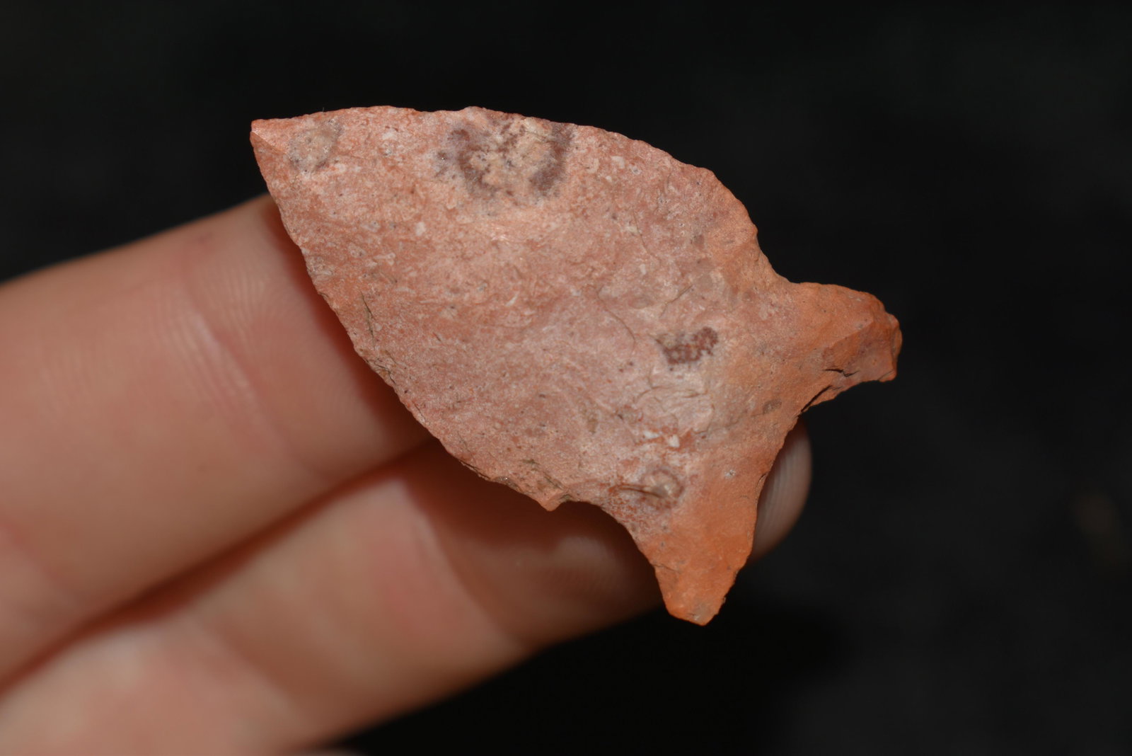 1 1/2" Colorful Woodland Arrowhead, ex Sam Webster: 1 1/2" Colorful Woodland Arrowhead, ex Sam Webster Collection, Pettis Co., Mo