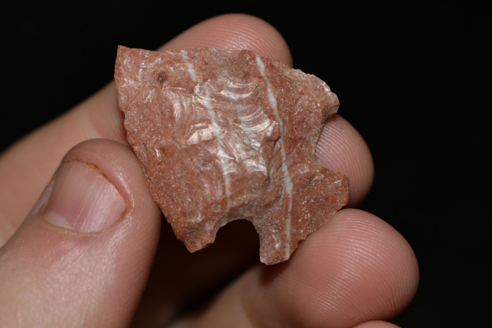 1 1/4" Colorful Woodland Arrowhead, ex Sam Webster: 1 1/4" Colorful Woodland Arrowhead, ex Sam Webster Collection, Pettis Co., Mo