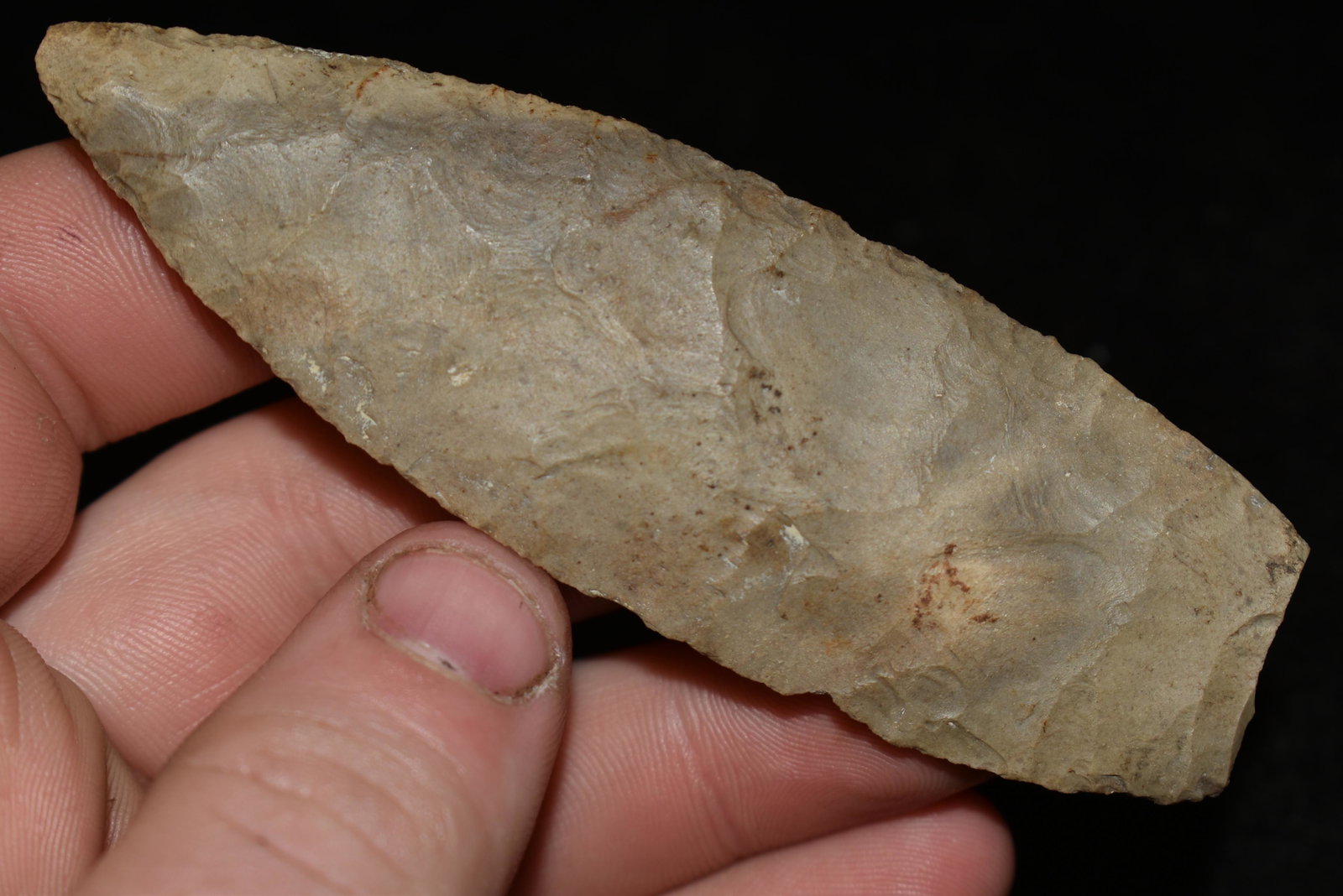 3 1/2" Paleo Lanceolot Point found in Tennessee: 3 1/2" Paleo Lanceolot Point found in Tennessee Authentic Native American Artifact