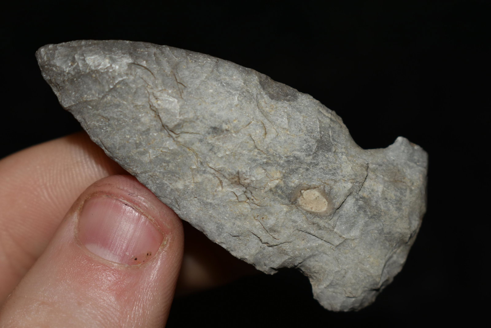 2 3/8" Gibson Found by Dan Simmons in Lincoln Co.,: 2 3/8" Gibson Found by Dan Simmons in Lincoln Co., Missouri in the 90's Authentic Native American Artifact
