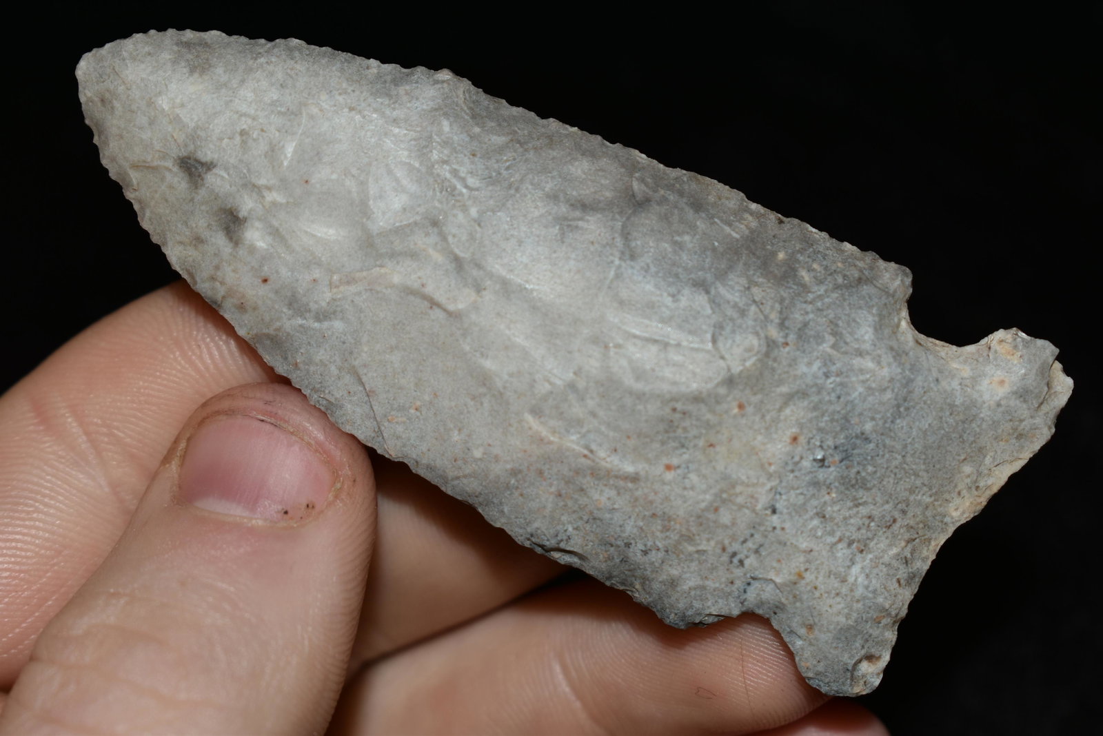 3" Osceola, Great Creek Stain Found by Dan Simmons in: 3" Osceola, Great Creek Stain Found by Dan Simmons in Lincoln Co., Missouri in the 90's Authentic Native American Artifact