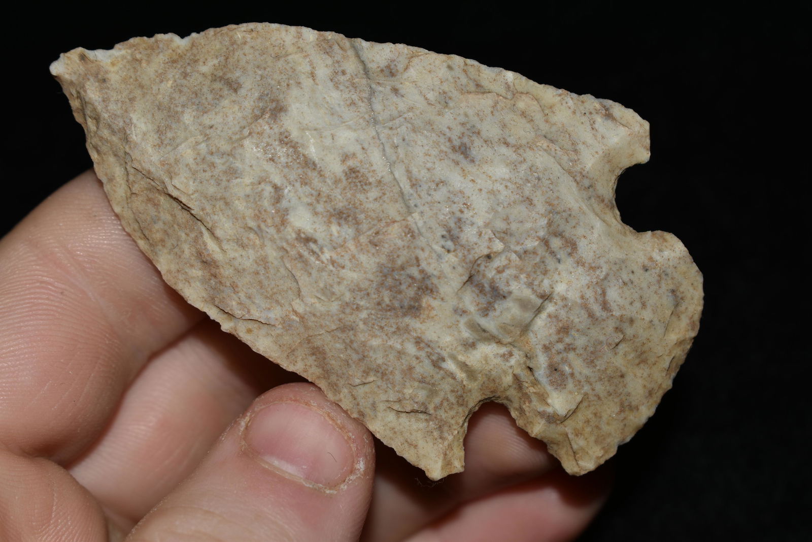 3" Etley found in Stone Co., Arkansas Authentic Native (1 of 4)