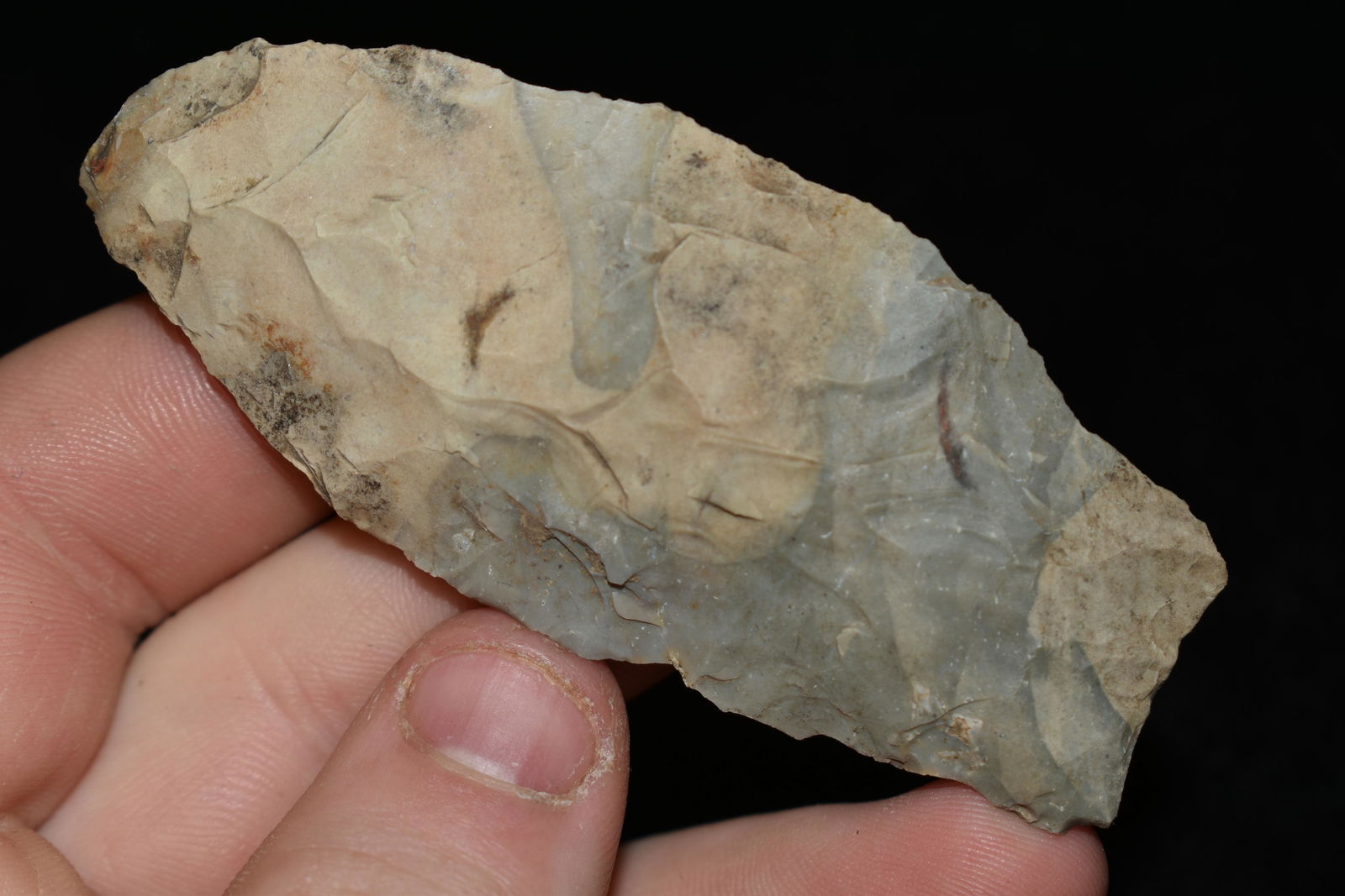 3" Sedalia found in Johnson Co., Arkansas Authentic (1 of 4)