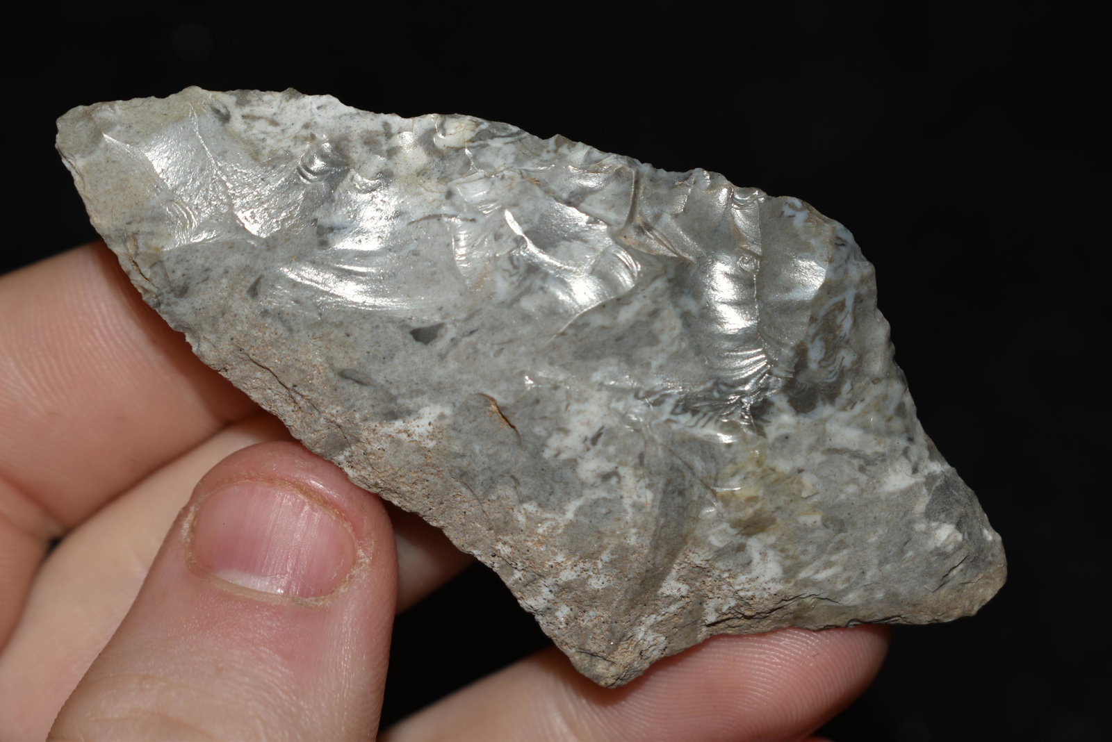 3" Gary, Tulsa Co., Oklahoma, Partain C.O.A Authentic: 3" Gary, Tulsa Co., Oklahoma, Partain C.O.A Authentic Native American Arrowhead
