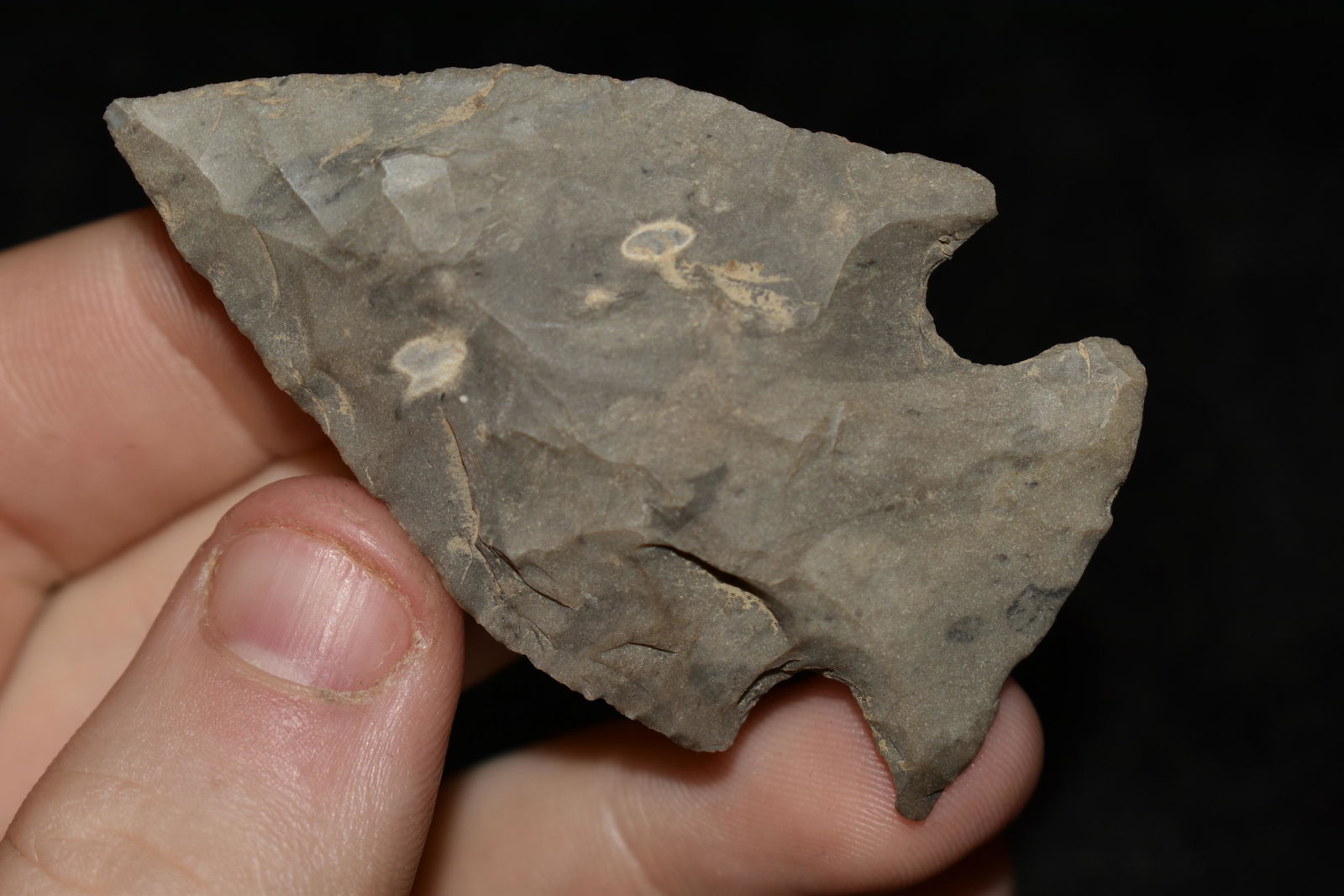 2 3/8" Snyders found in Arkansas Authentic Native (1 of 4)