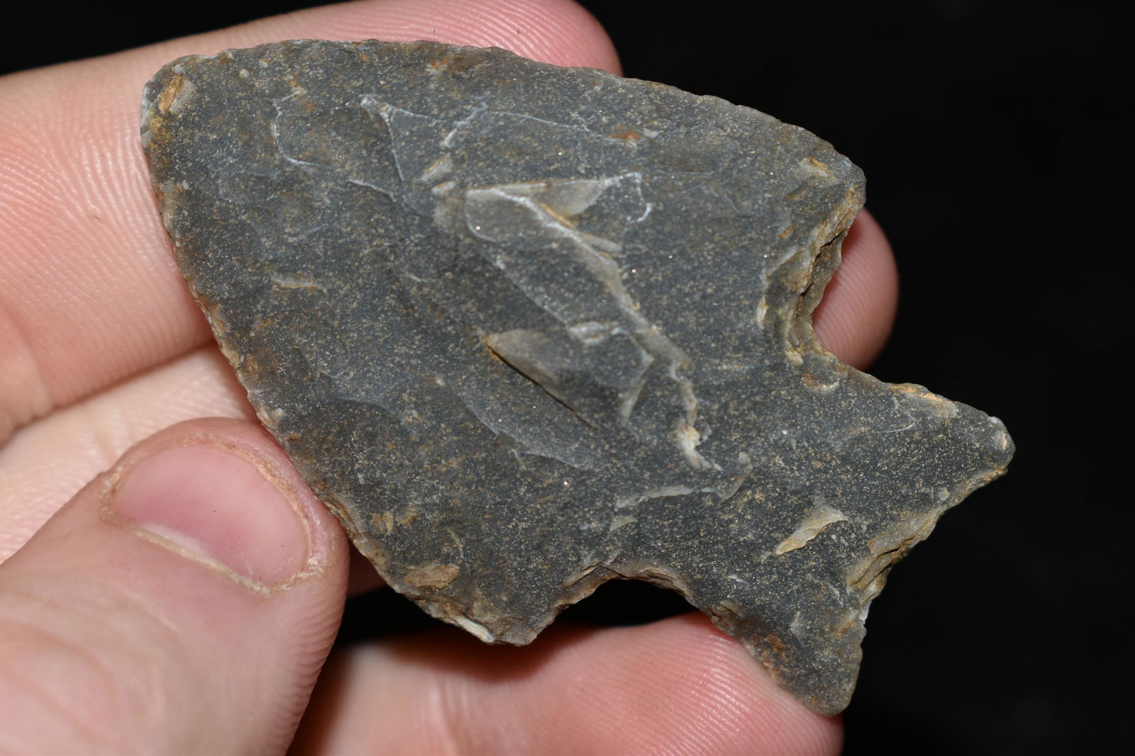 2 1/8" Archaic Point made of Novaculite found in Yell (1 of 4)