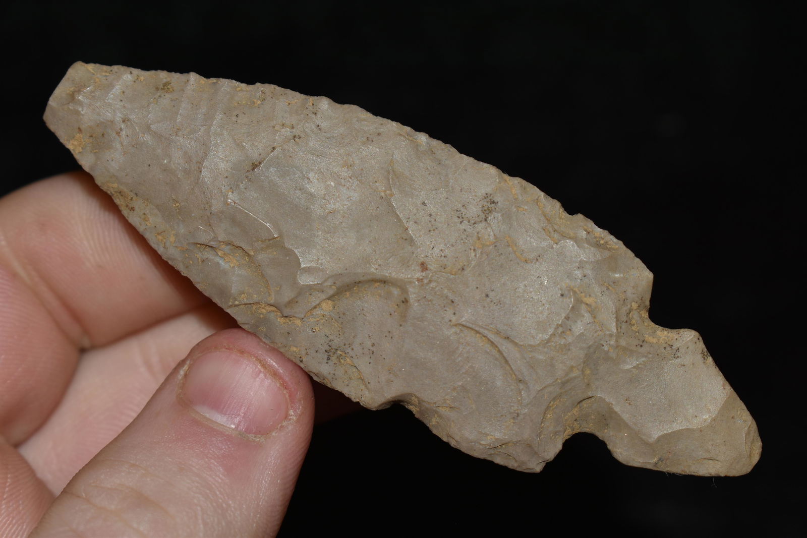 3 3/8" Turkey Tail found in Franklin Co., Kentucky (1 of 4)