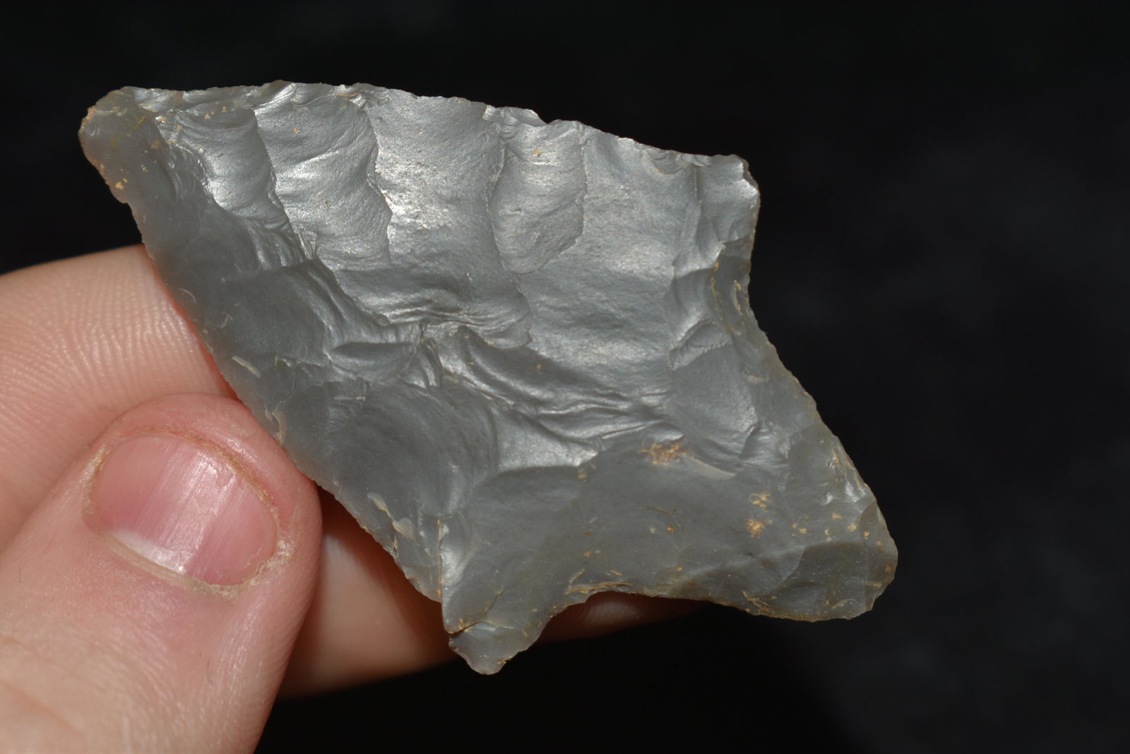 2 1/4" Gary found in Yell Co., Arkansas Authentic: 2 1/4" Gary found in Yell Co., Arkansas Authentic Native American Artifact