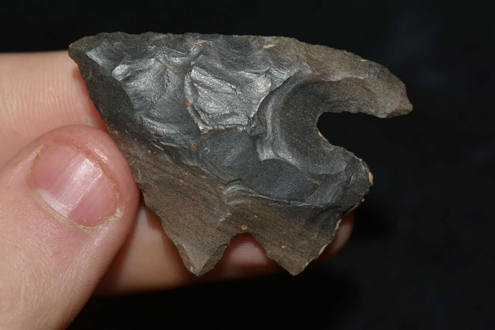 Colorful 1 3/4" Mehlville Point found in Yell Co., (1 of 4)