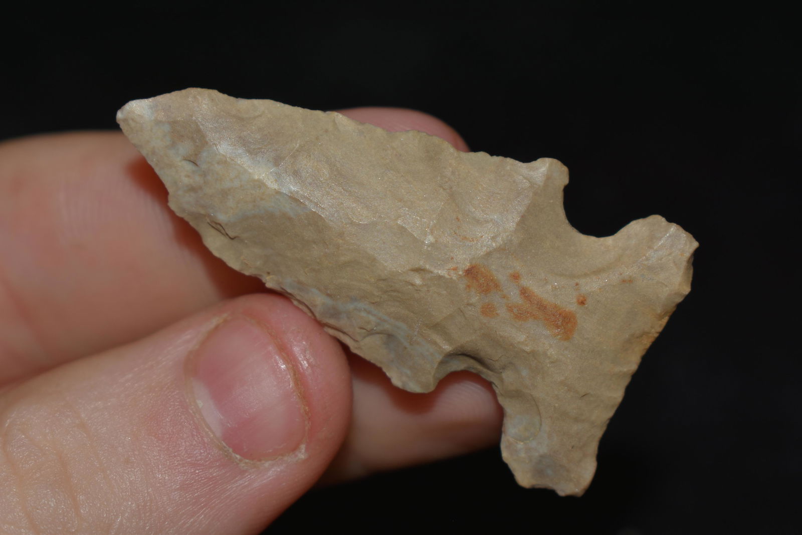 1 7/8" Godar found in Kentucky Authentic Native (1 of 4)