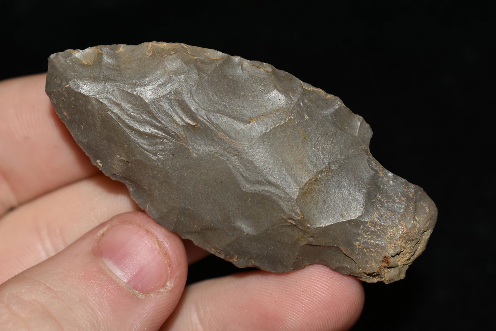 2 1/2" Kramer found in Kentucky Authentic Native (1 of 4)