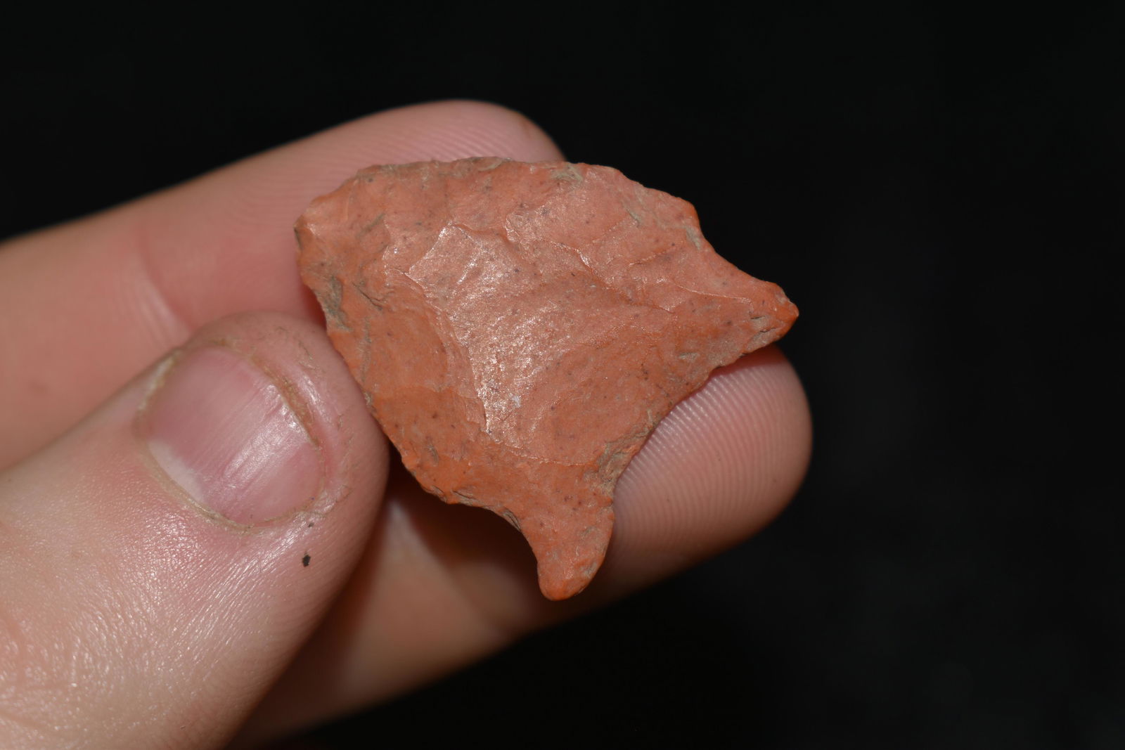 1" Greenbriar Dalton found in SE Missouri Authentic (1 of 4)