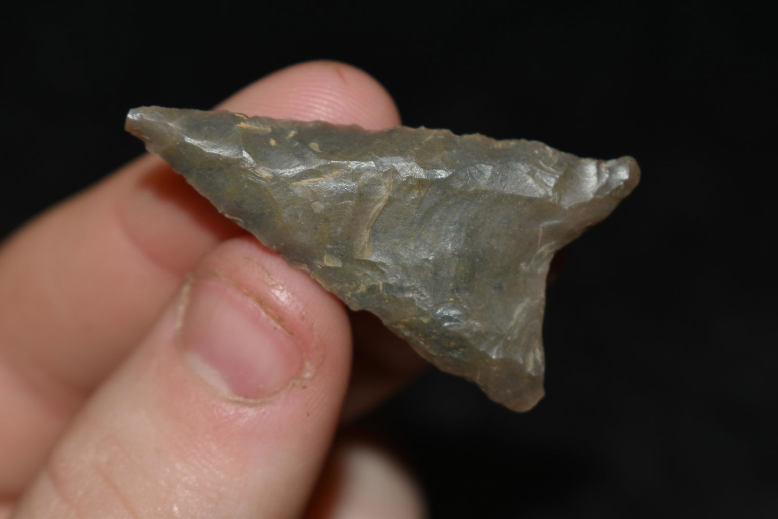 2 1/8" Dalton found in SE Arkansas Authentic Native (1 of 4)