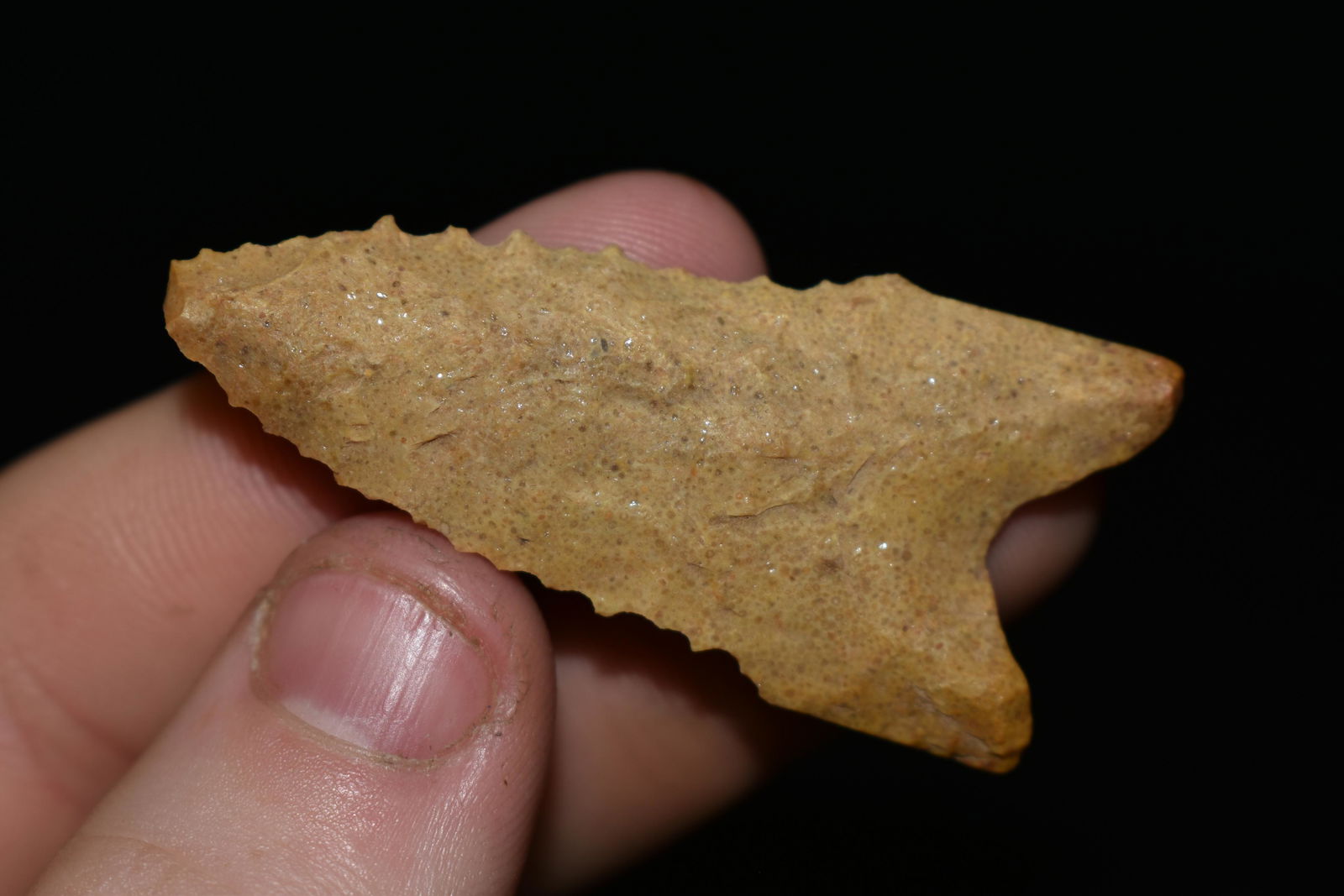 1 7/8" Dalton found in SE Missouri Authentic Native (1 of 4)