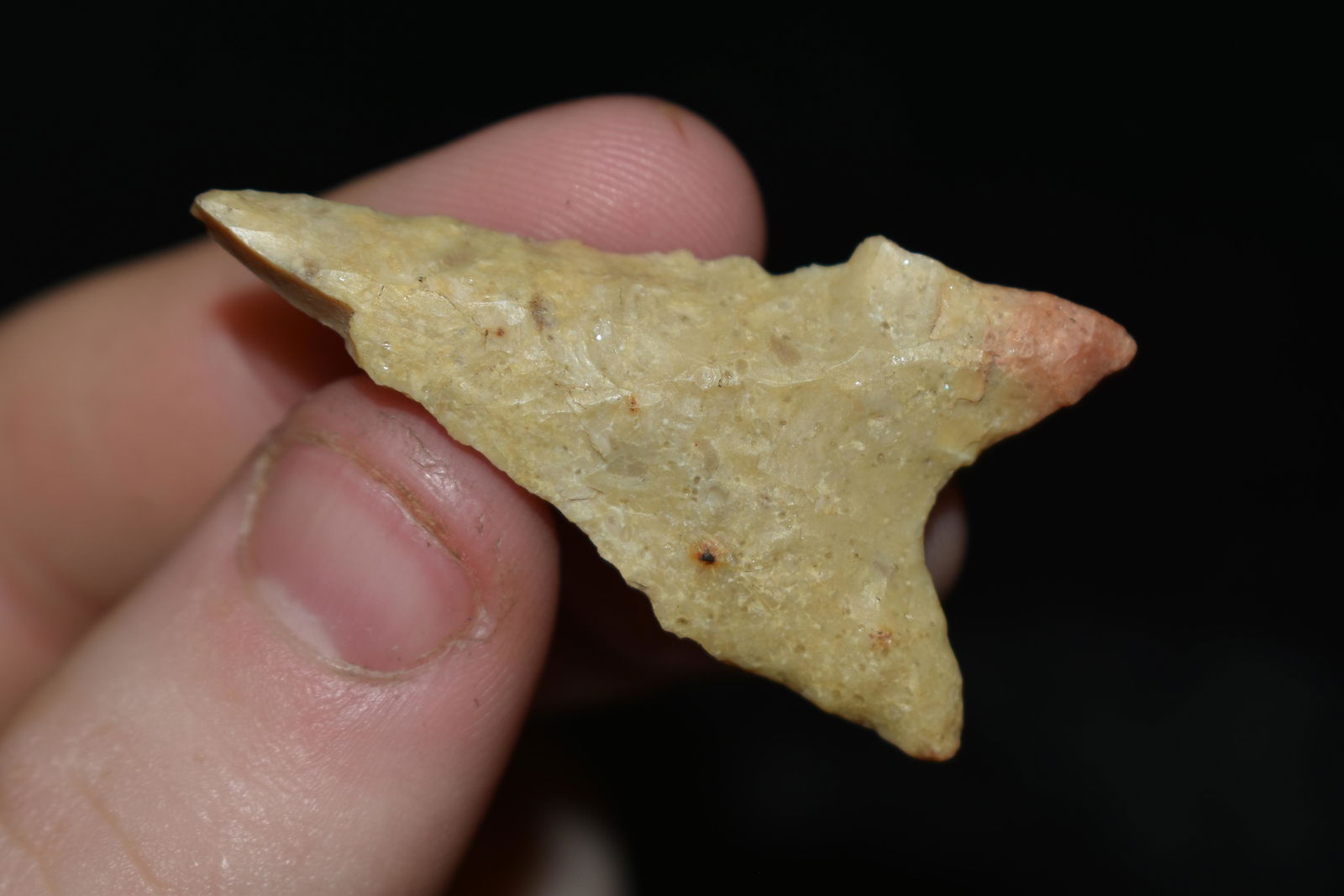 1 5/8" Beveled Dalton found in SE Missouri Authentic (1 of 4)