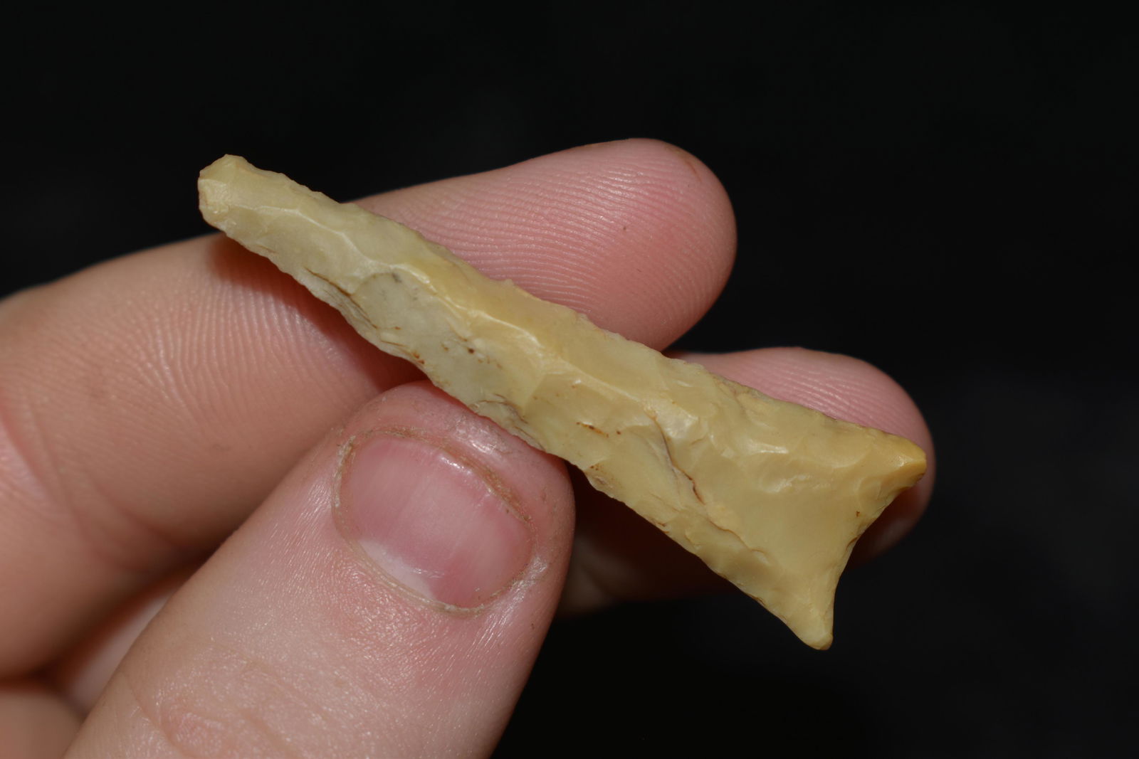 1 7/8" Dalton found in SE Missouri Authentic Native (1 of 4)