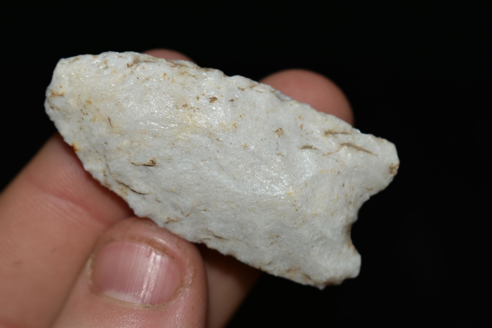 1 3/4" Dalton found in SE Missouri Authentic Native (1 of 4)