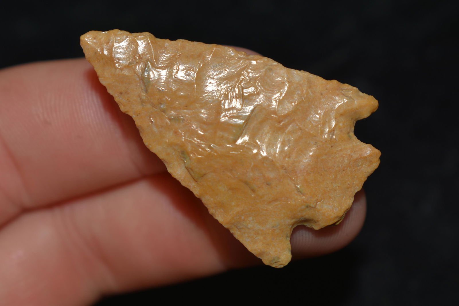 1 3/4" Archaic Corner Notch found in SE Missouri (1 of 4)