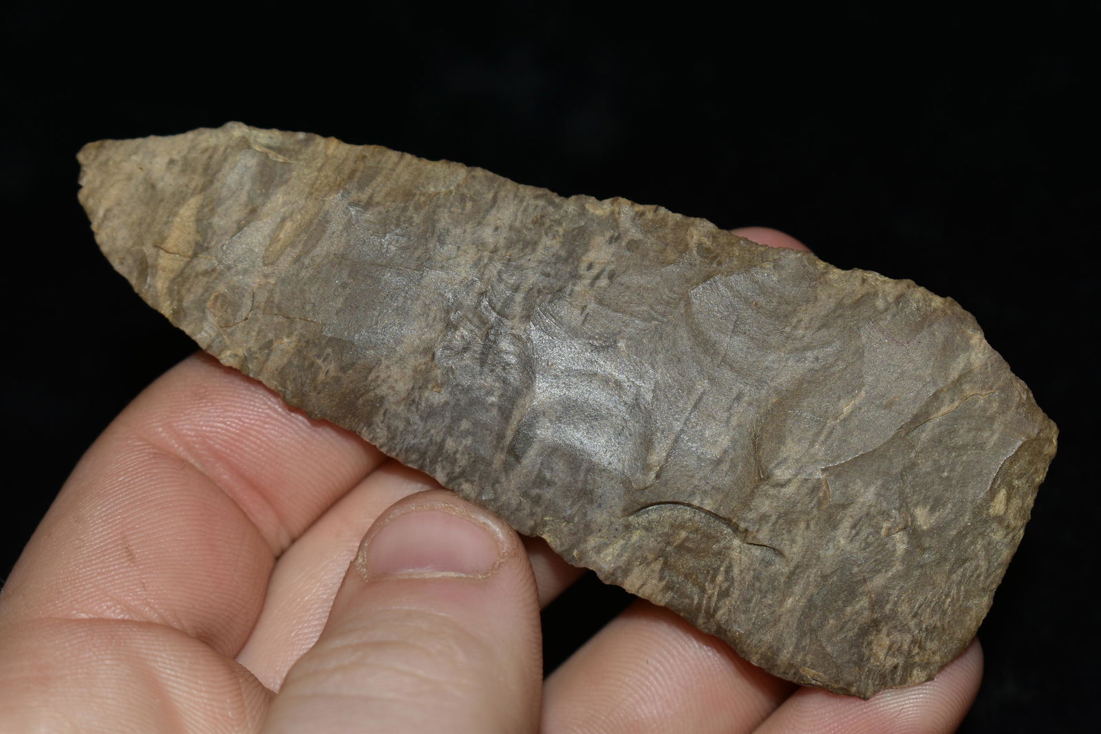 3 11/16" Adena Blade found in Tennessee, Partain C.O.A (1 of 5)