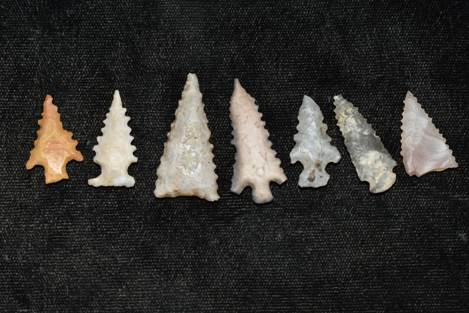 Lot of 7 Serrated Birdpoints found in Yell Co., (1 of 2)