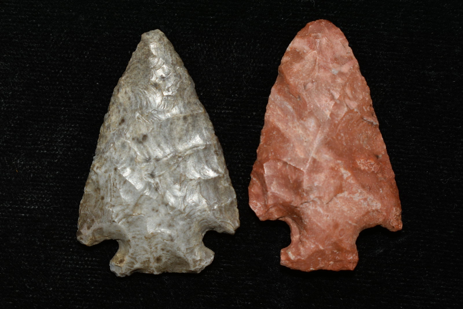 Lot of 2 Colorful Woodland Points, Largest measures 1: Lot of 2 Colorful Woodland Points, Largest measures 1 3/4" found in Central Missouri Authentic Native American Artifact