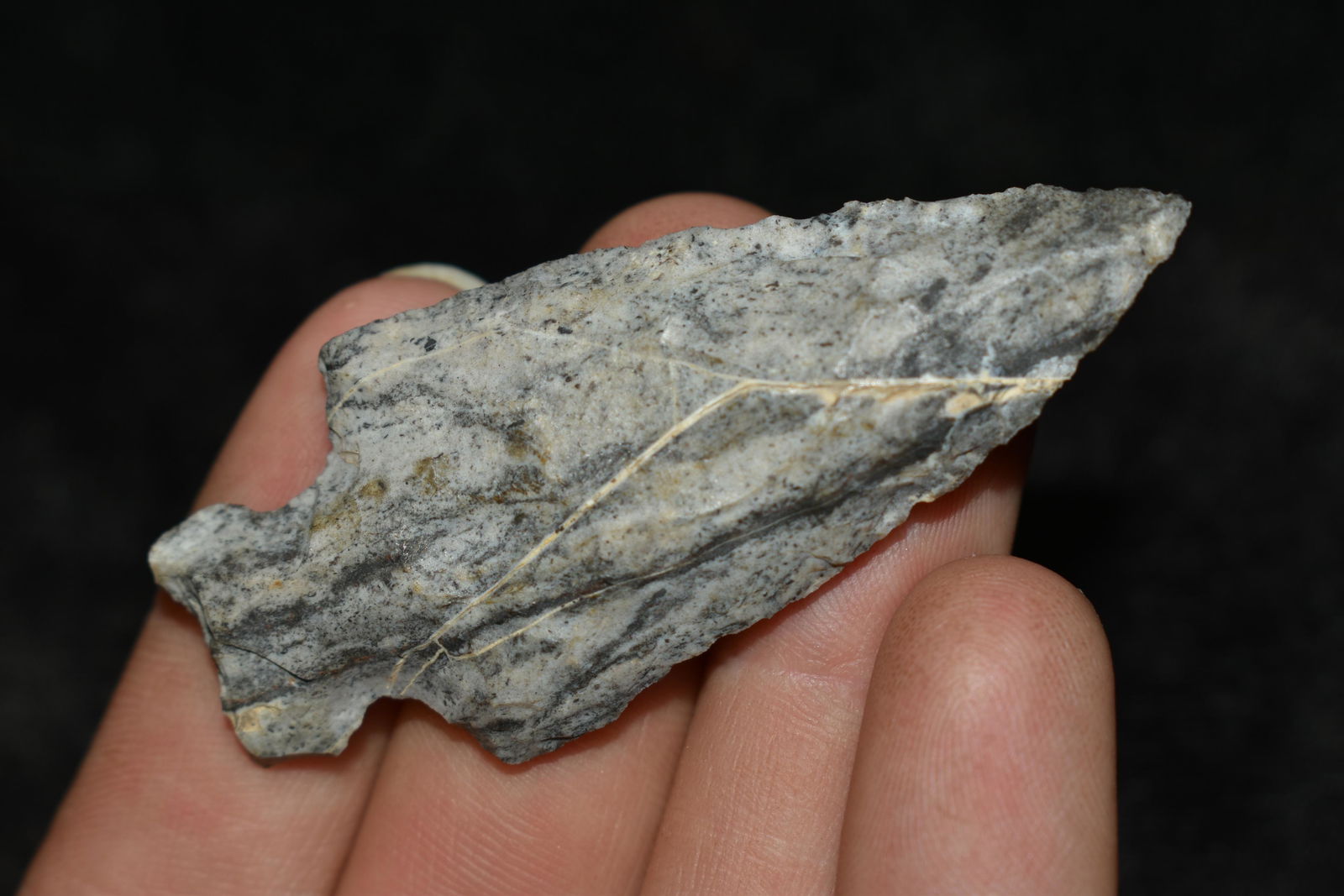 2.5" Amazing Material Side Notch Central MO, Native (1 of 3)